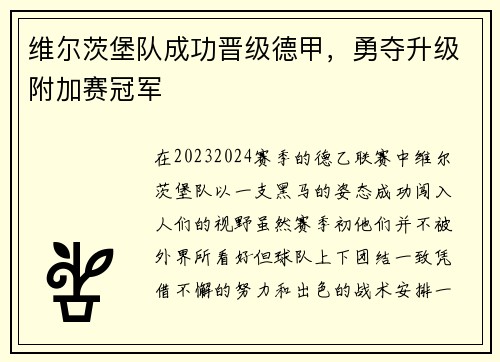 维尔茨堡队成功晋级德甲，勇夺升级附加赛冠军